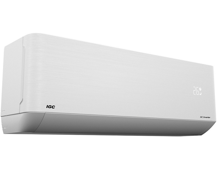 IGC RAS-V09AT